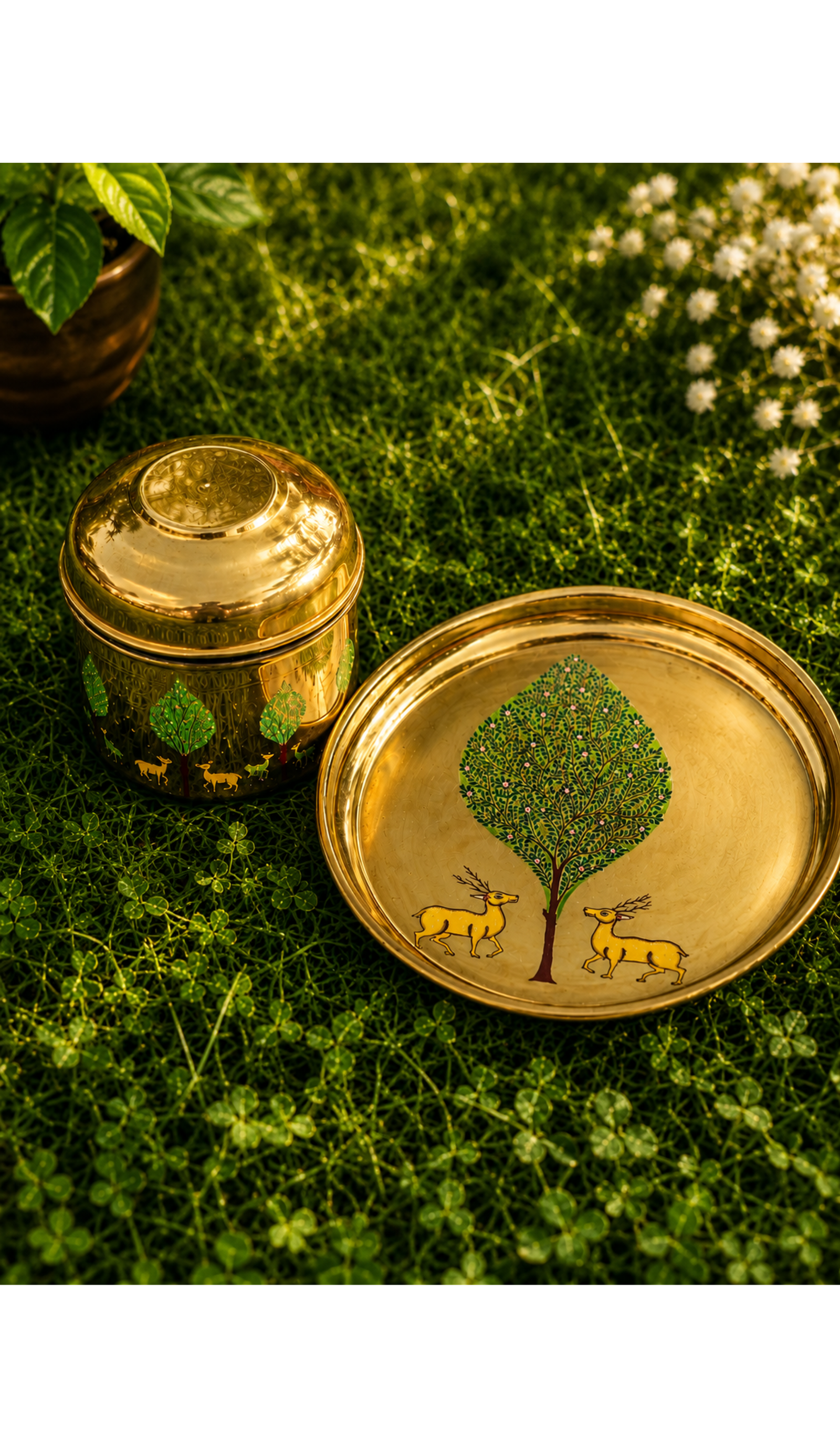 The Spring Collection - Banyan